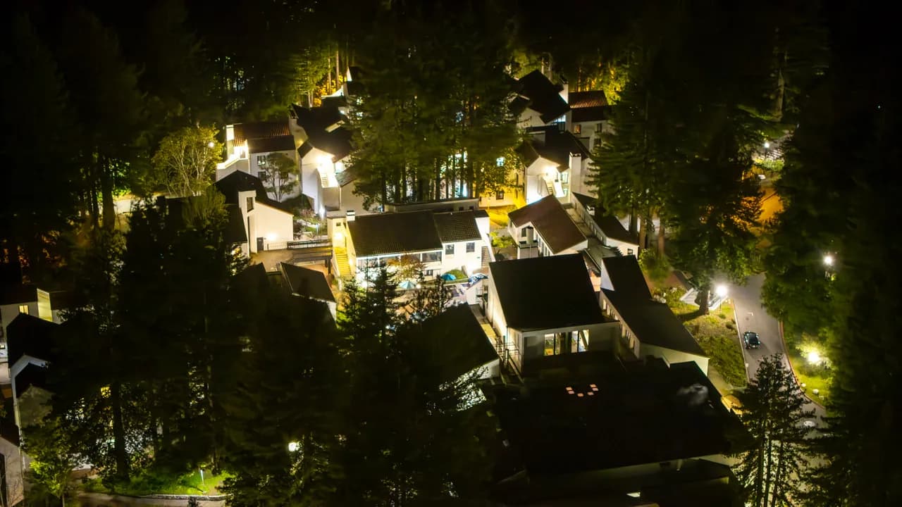 Warm lights pick out pale buildings and a courtyard among tall, dark trees. After Dark photo 4 of 9.