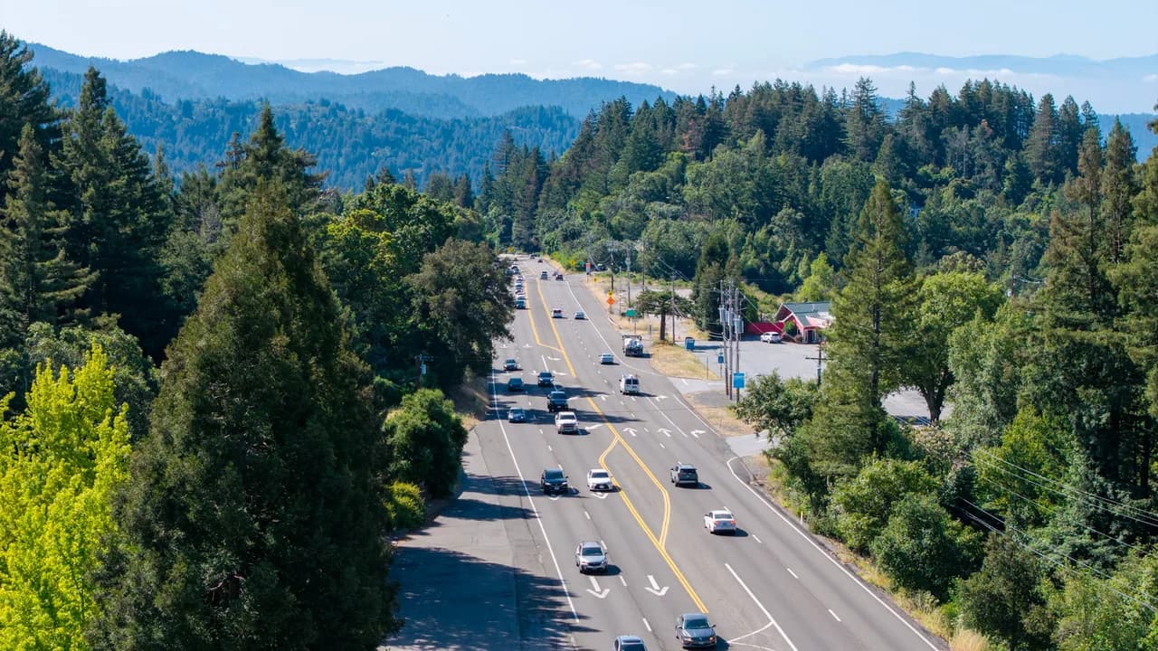Cars travel along a broad road through dense forest, with blue mountain ridges beyond. Coast & City photo 5 of 11.