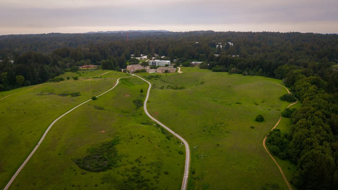 Pale walking paths wind across a green meadow toward buildings at the edge of a forest. Coast & City photo 10 of 11.