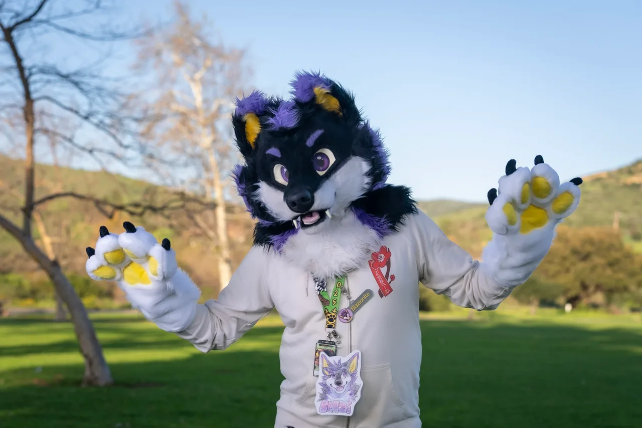 A person in a dark purple and white canine costume raises both yellow-padded paws on a green lawn. Costumes photo 20 of 20.